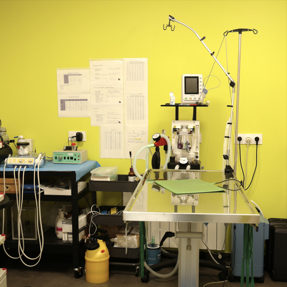 Salle de chirurgie.